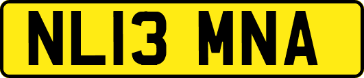 NL13MNA