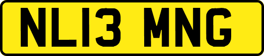 NL13MNG