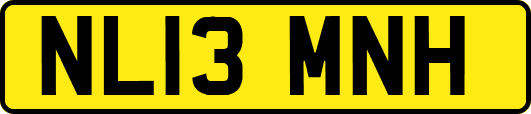 NL13MNH