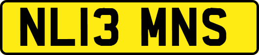 NL13MNS