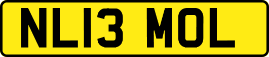 NL13MOL