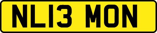 NL13MON