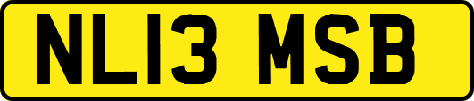NL13MSB