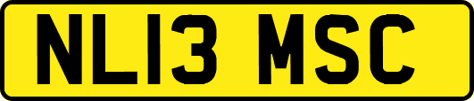 NL13MSC