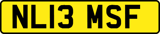 NL13MSF