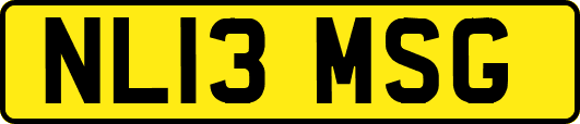 NL13MSG