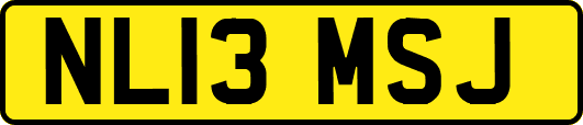 NL13MSJ