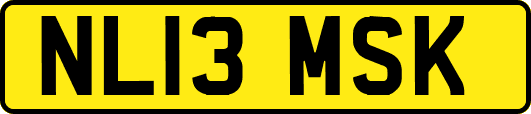 NL13MSK