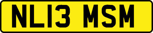 NL13MSM