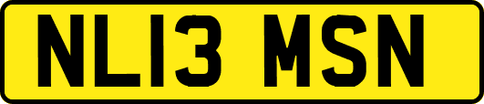 NL13MSN