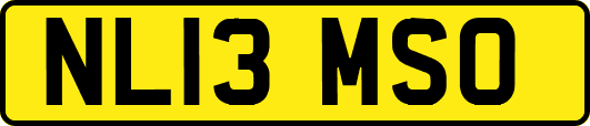 NL13MSO