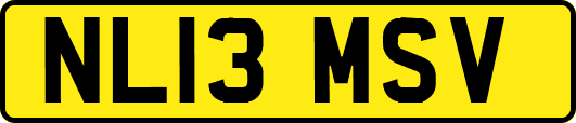 NL13MSV