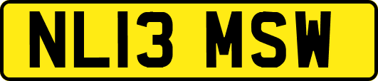 NL13MSW