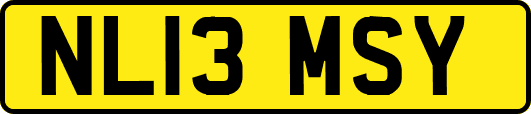 NL13MSY