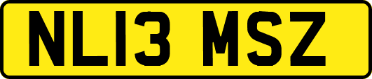 NL13MSZ