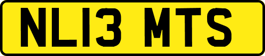 NL13MTS