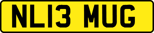 NL13MUG