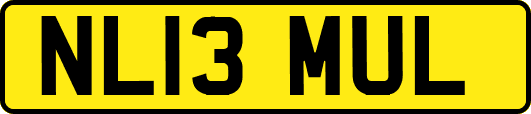NL13MUL