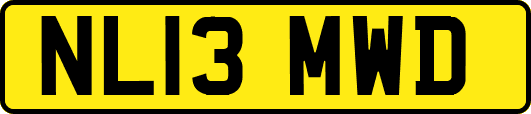 NL13MWD