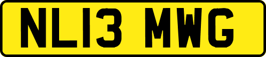NL13MWG