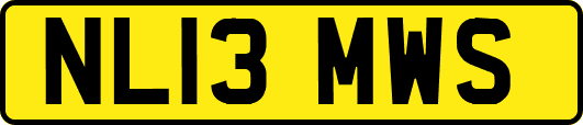 NL13MWS