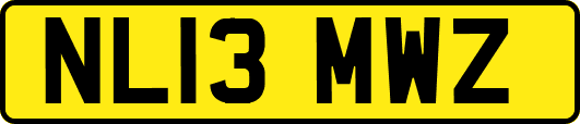 NL13MWZ