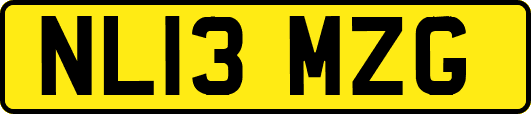 NL13MZG