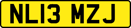 NL13MZJ