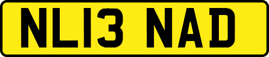 NL13NAD