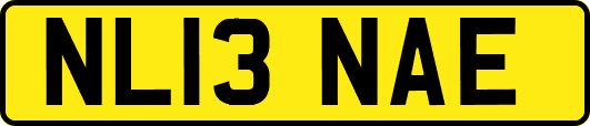 NL13NAE