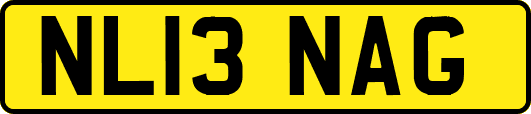 NL13NAG