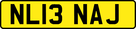NL13NAJ