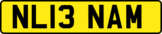 NL13NAM