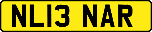 NL13NAR