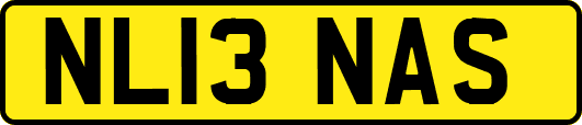 NL13NAS