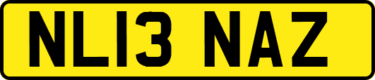 NL13NAZ