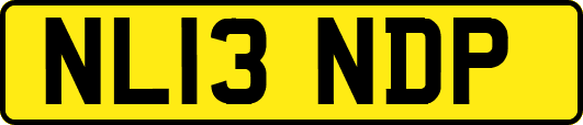 NL13NDP