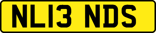 NL13NDS