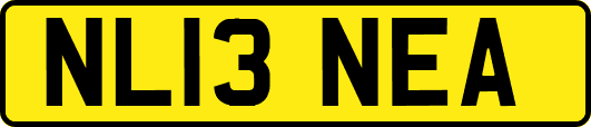NL13NEA