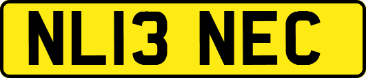 NL13NEC
