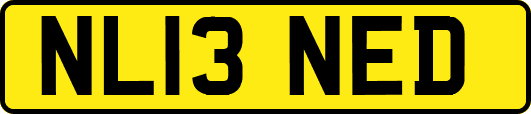 NL13NED