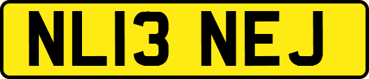 NL13NEJ