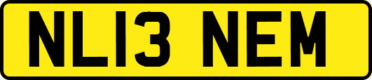 NL13NEM