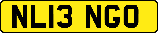 NL13NGO