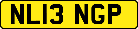 NL13NGP