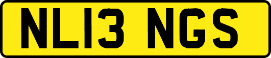 NL13NGS