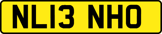 NL13NHO