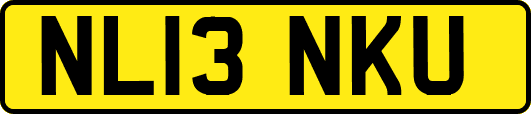 NL13NKU