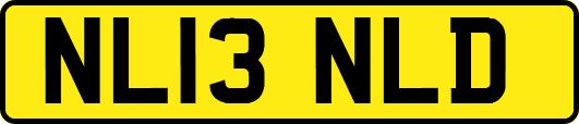 NL13NLD