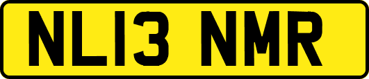 NL13NMR
